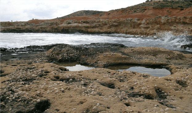 Fósiles en la Playa fósil de Cabo Roig