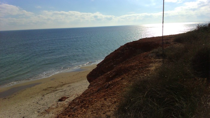 playa mil palmeras junto a cabo roig 3