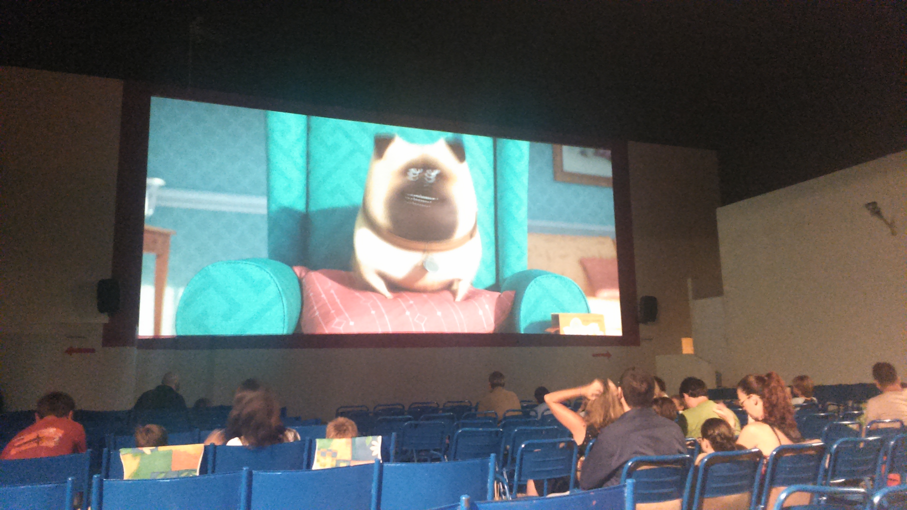 1 cine cabo roig pantalla iluminada